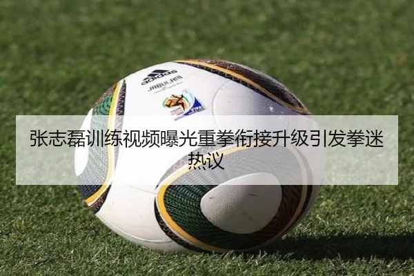 张志磊训练视频曝光重拳衔接升级引发拳迷热议 | BOYUSPORT